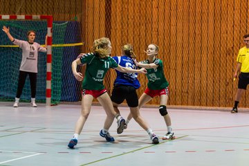 Bild 210 - B-Juniorinnen HSG Kremperheide/M�nsterdorf - Buxtehuder SV